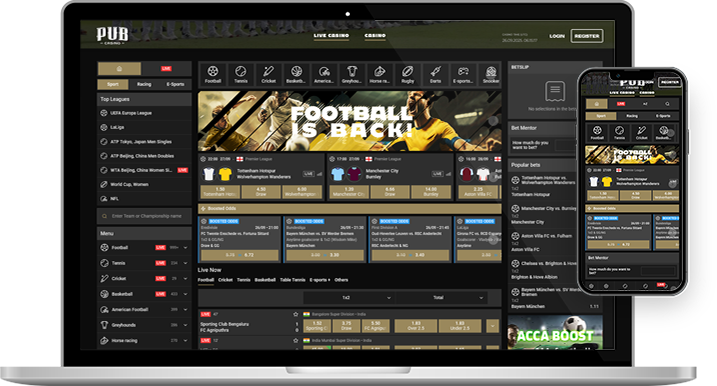 Pub Sports online betting platform.